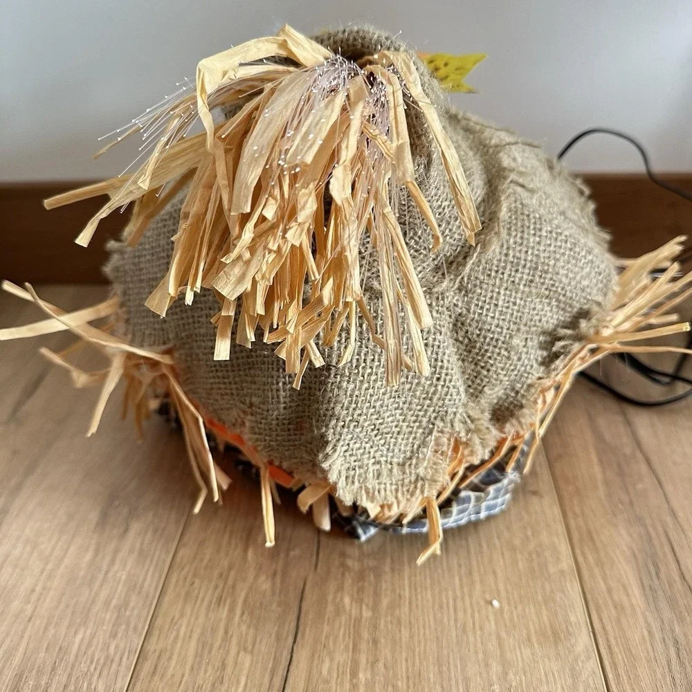 VTG Pumpkin‎ Hollow Fiber Optic Scarecrow Head In Box 10